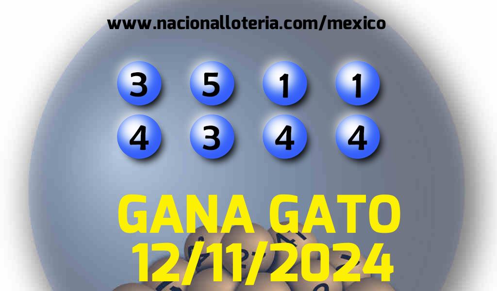 Resultados del Gana Gato del Martes 12 de Noviembre de 2024